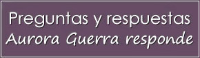 Preguntas y respuestas