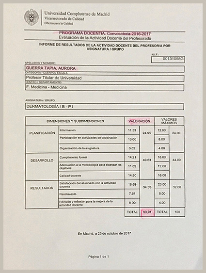 Calificacin EXCELENTE en el programa DOCENTI